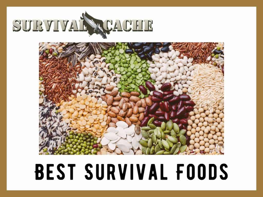 best survival foods to stockpile